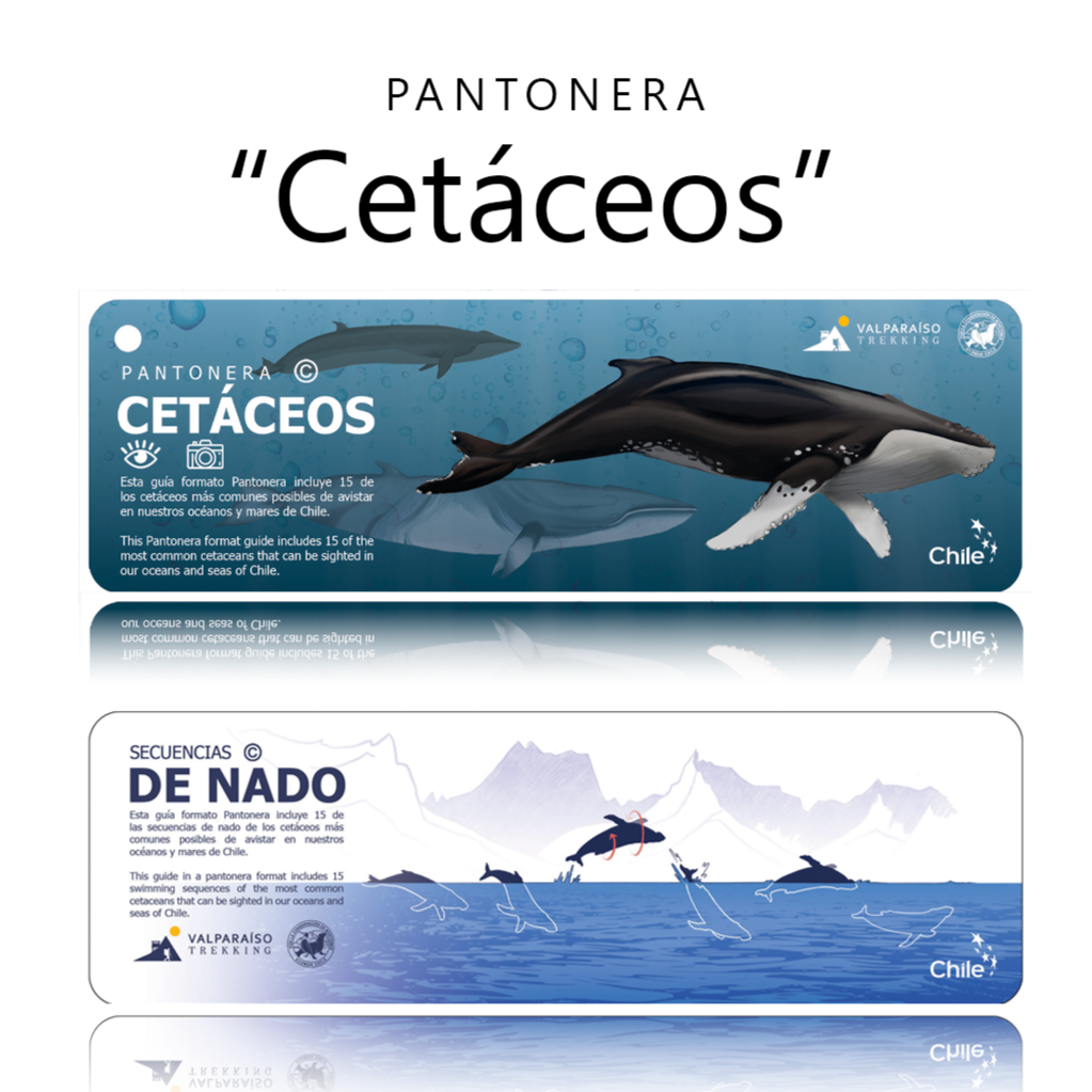 Valparaiso trekking
