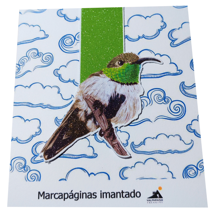 Marcapaginas magneticos - Coleccion 1