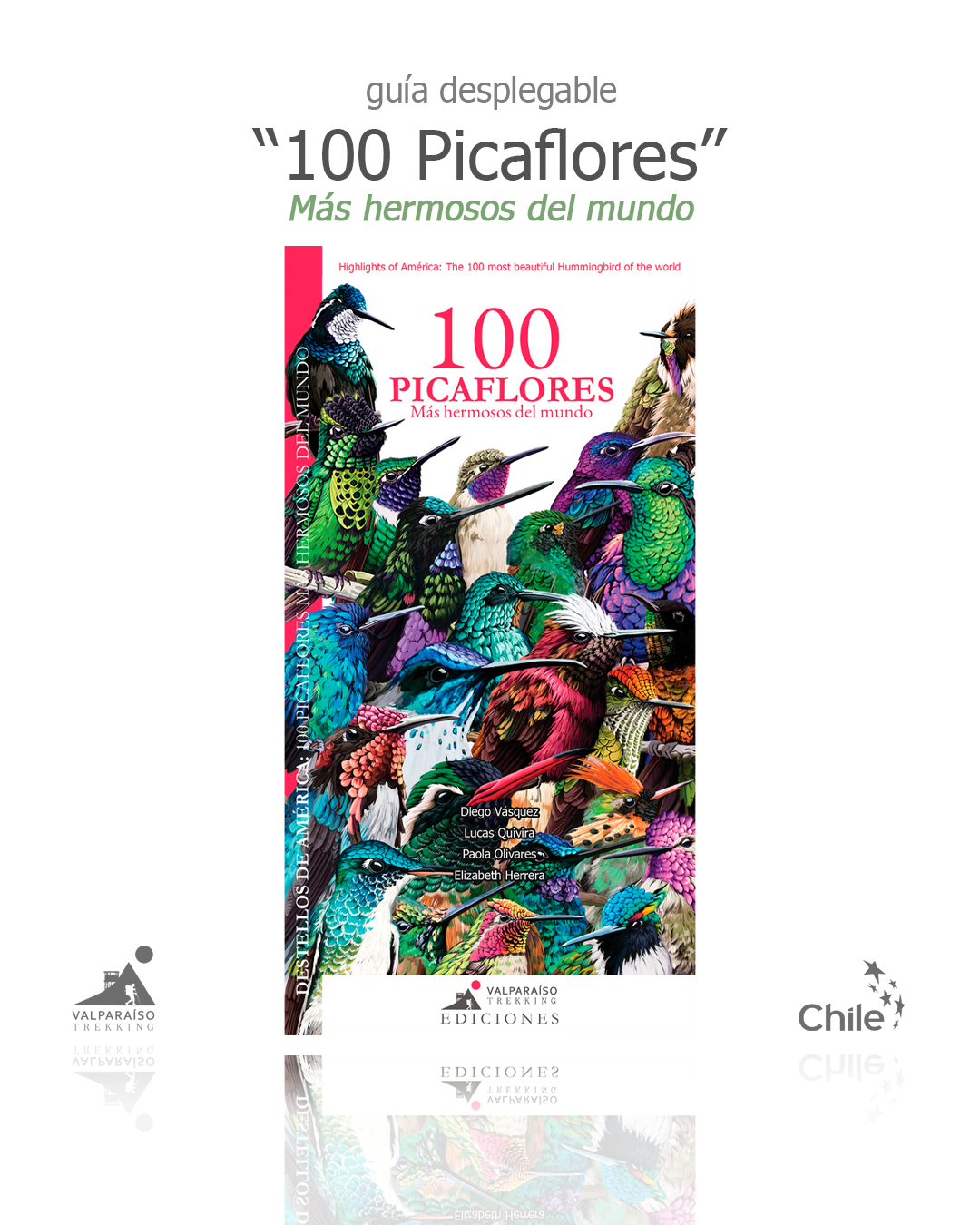 Guía 100 Picaflores Más hermosos del mundo