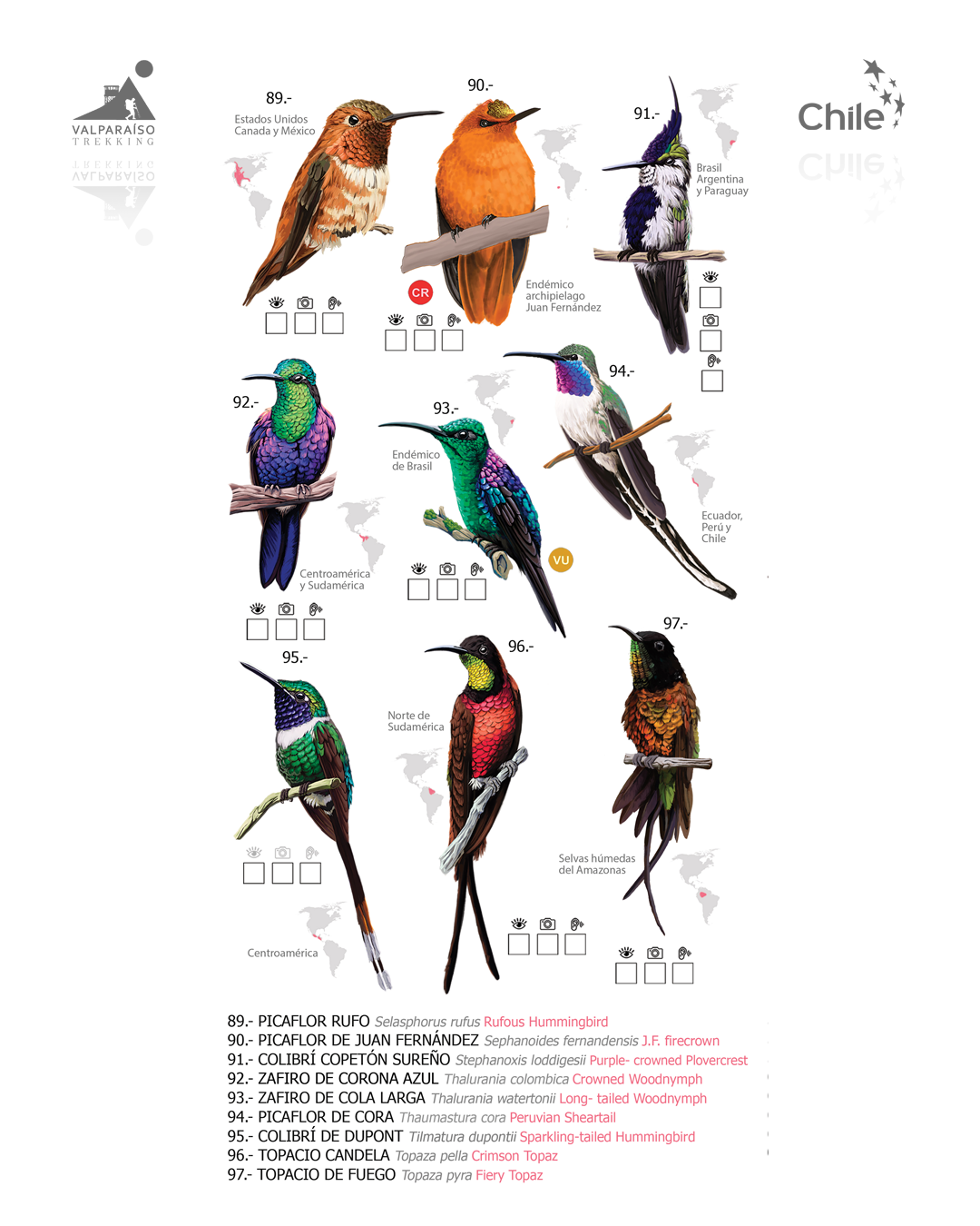 Guía 100 Picaflores Más hermosos del mundo
