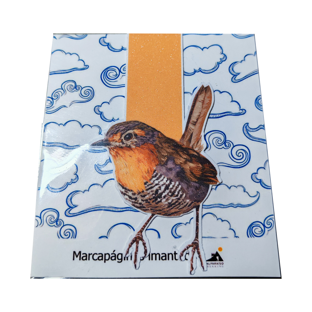 Marcapaginas magneticos - Colección 1
