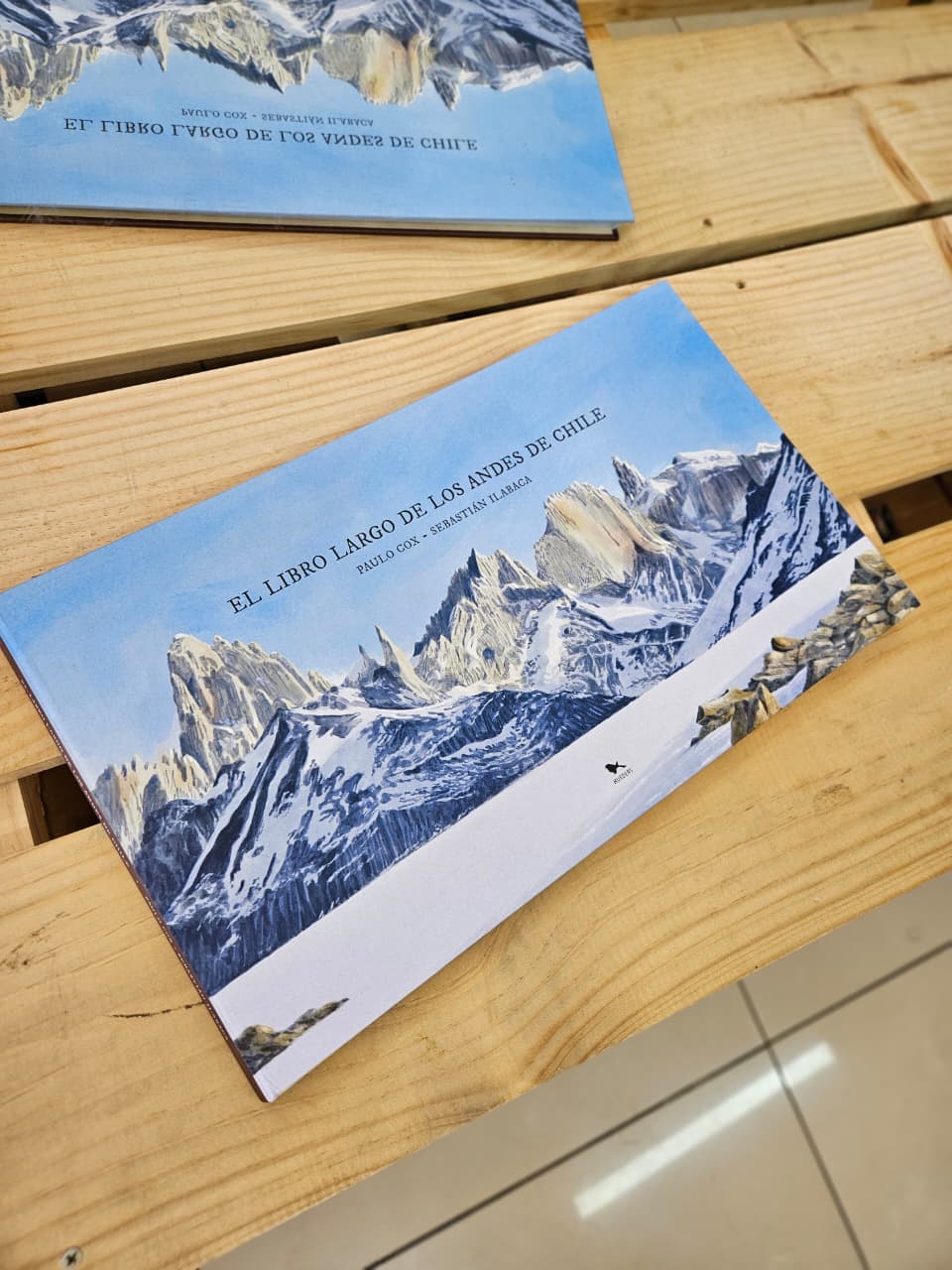 El Libro Largo de los Andes de Chile