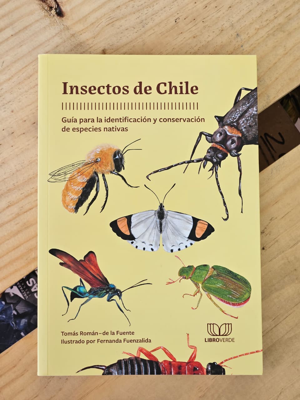 Insectos de Chile