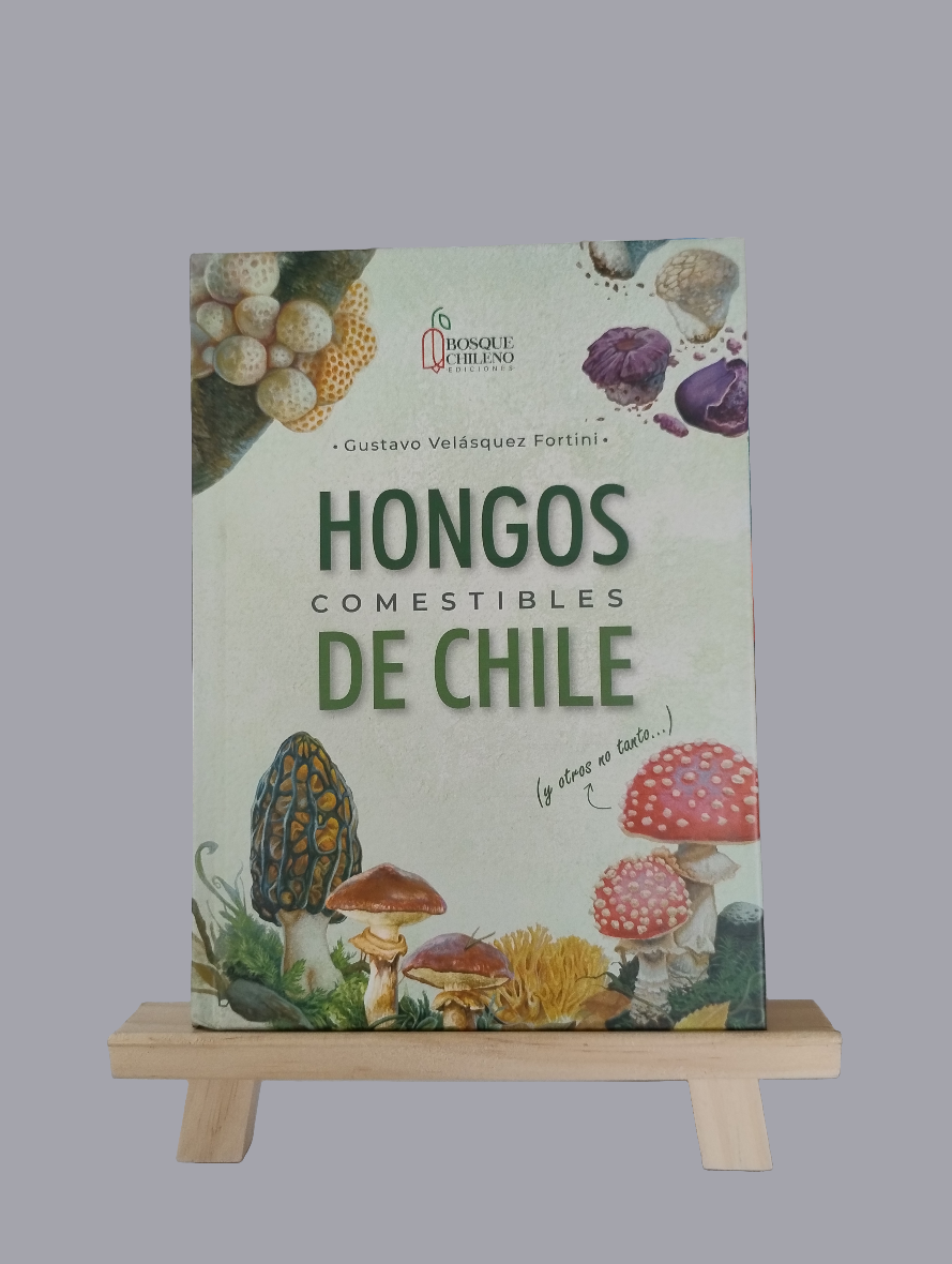 Hongos Comestibles de Chile