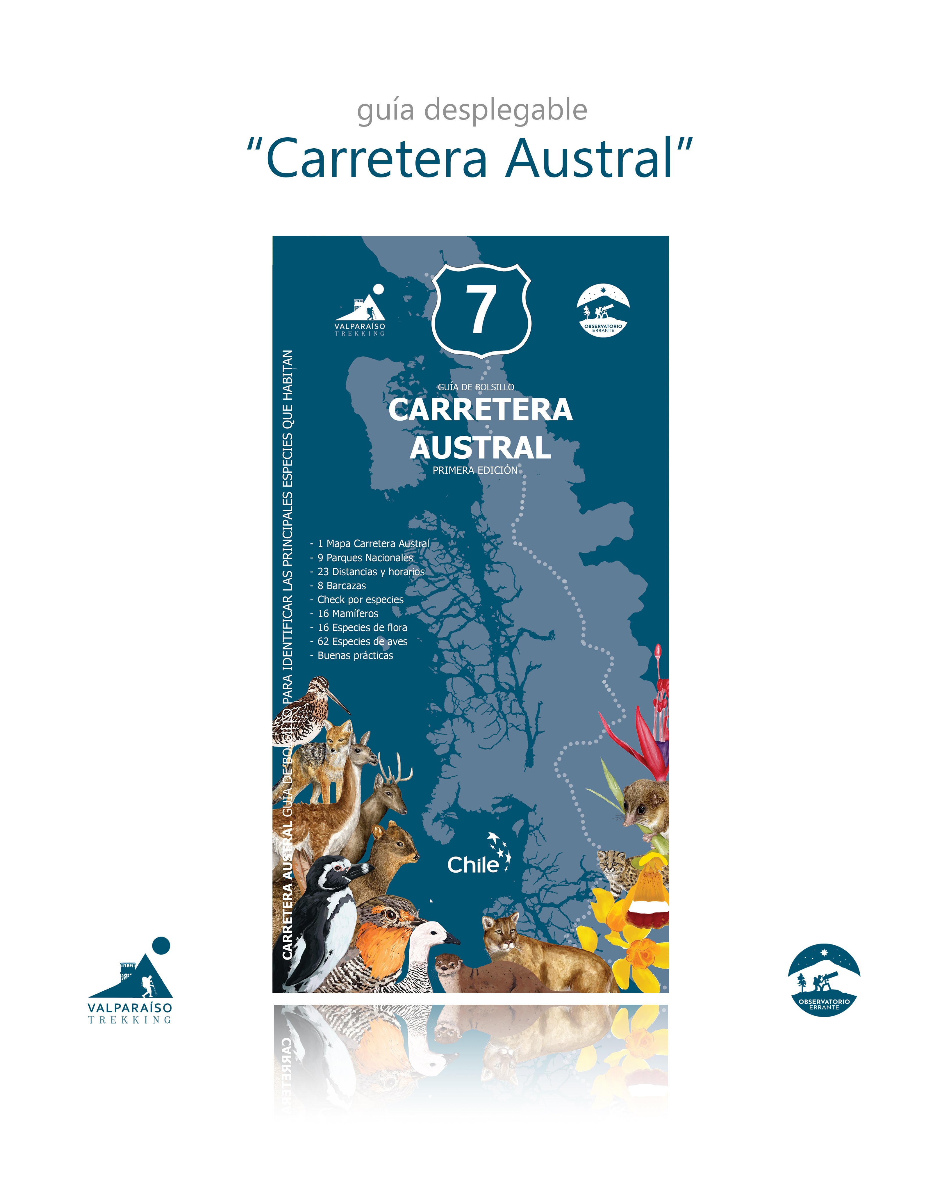 guía Carretera Austral