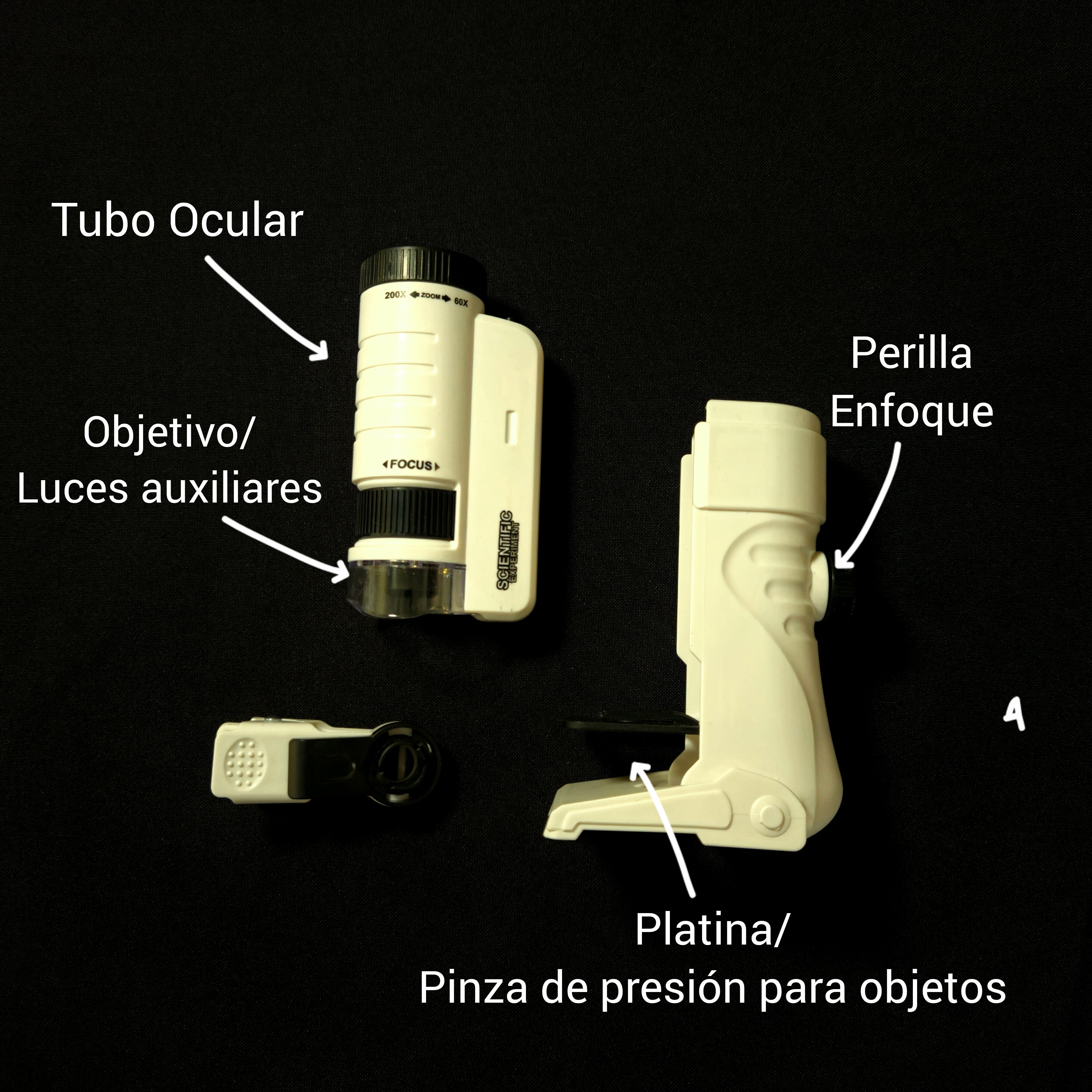 Kit de Exploración "Bosque Esclerófilo" – Ciencia y Naturaleza en tus Manos 🔬
