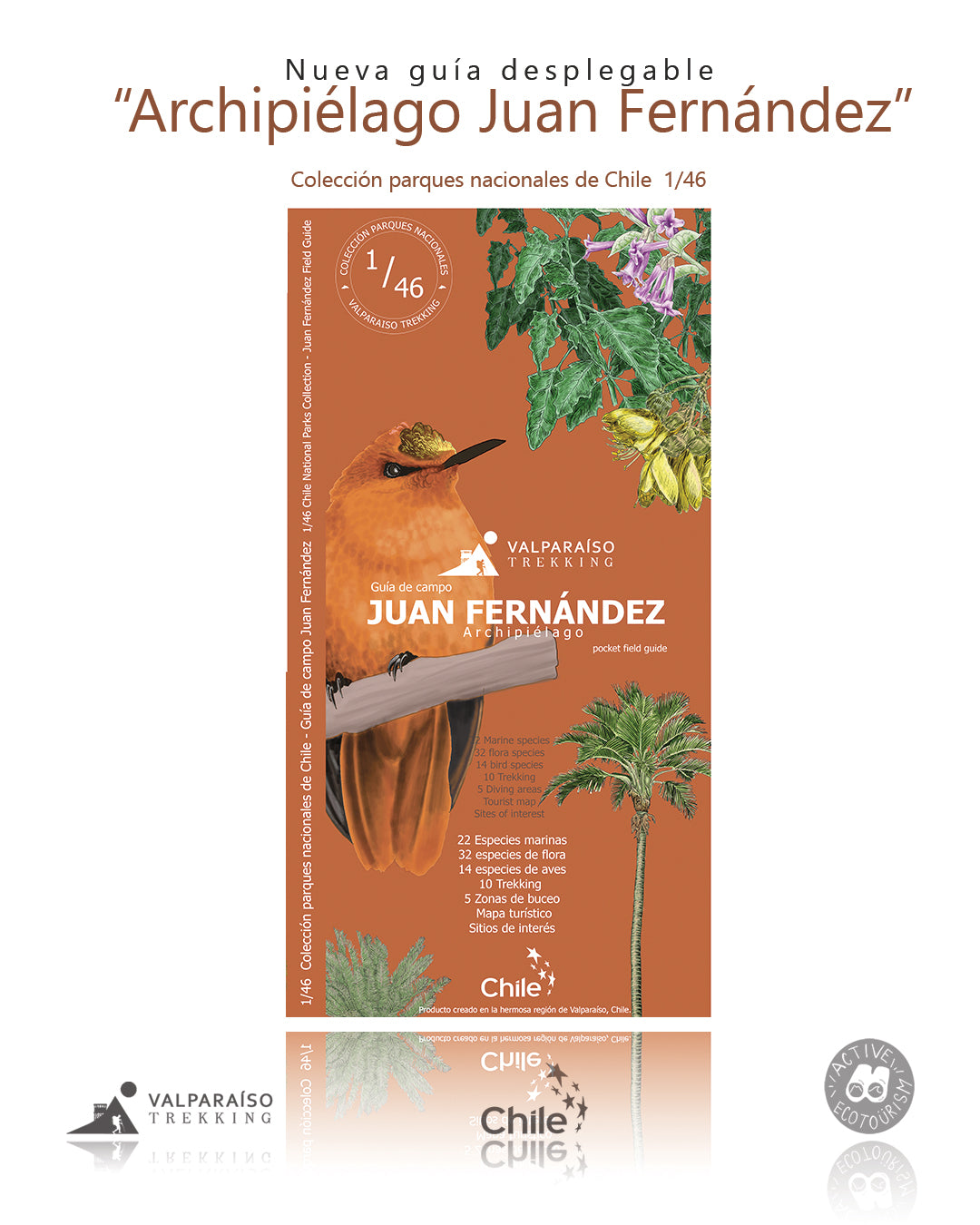 Guía Archipiélago Juan Fernández