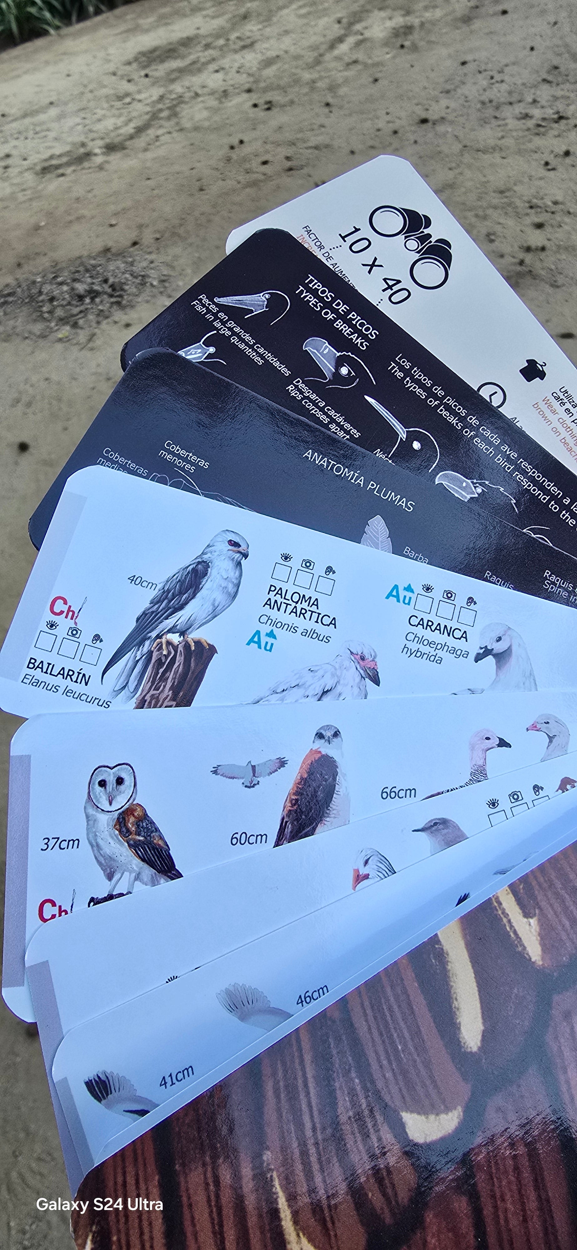 Pantonera de aves 3° edición (300 aves)