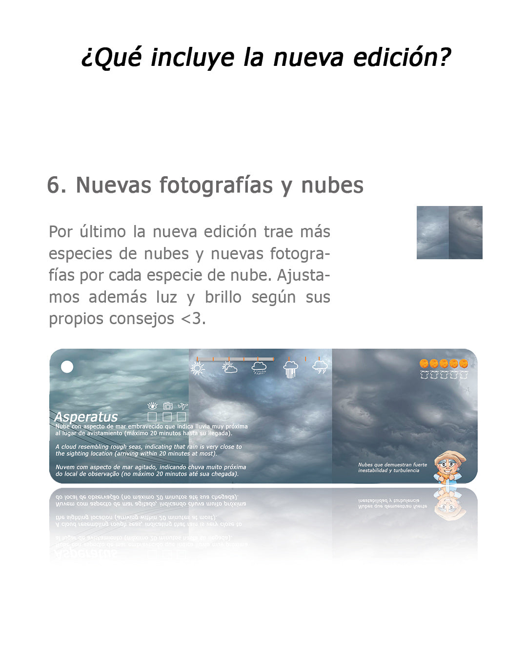 Pantonera Nubes 3° Edición