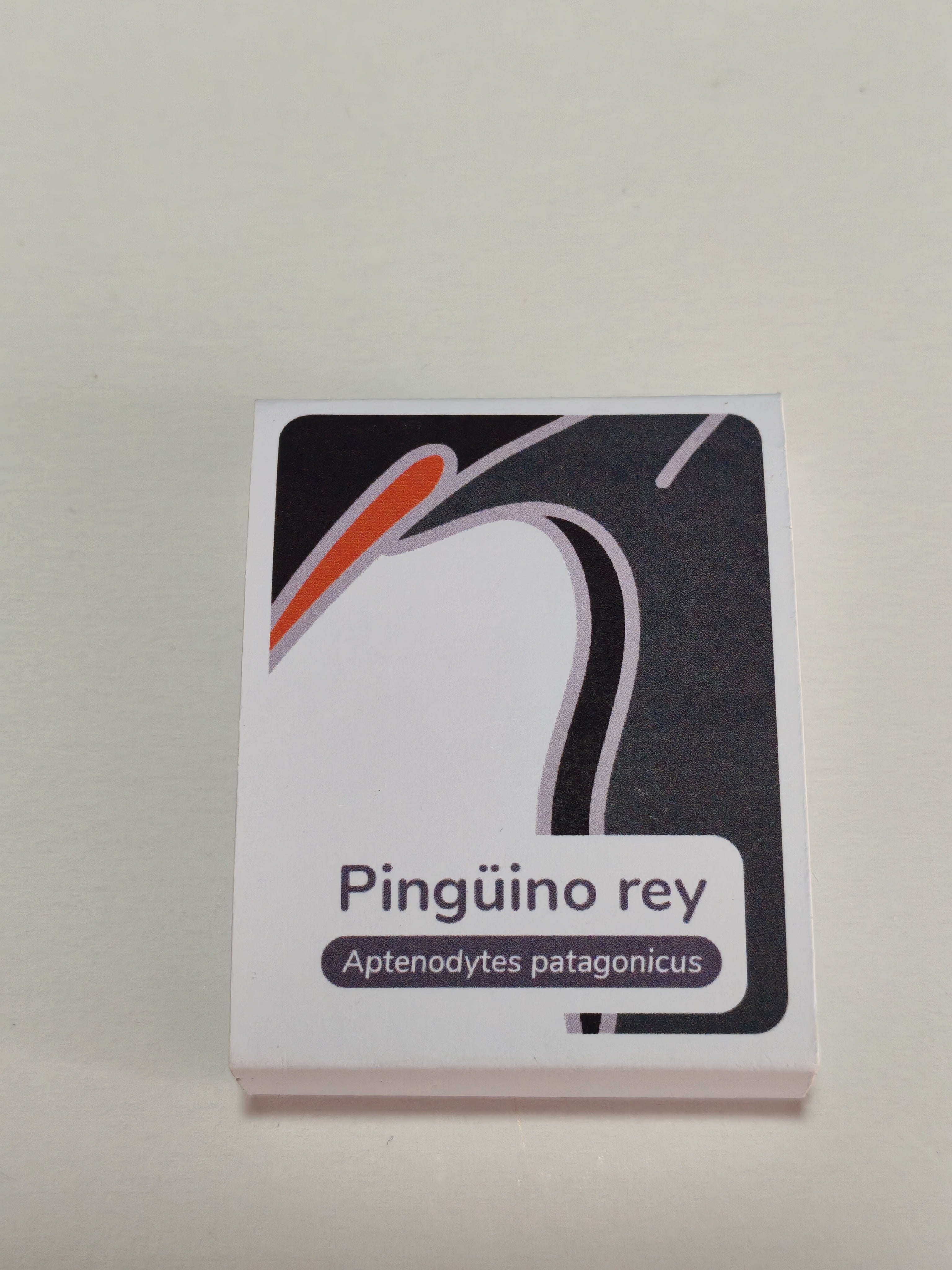 Pin Pingüino rey