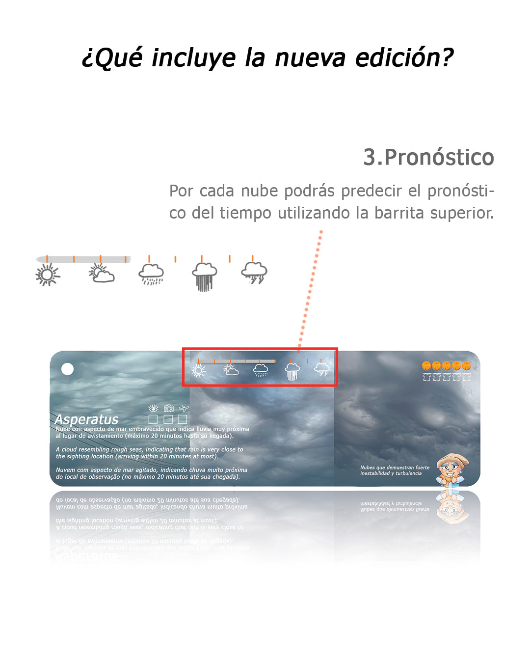Pantonera Nubes 3° Edición