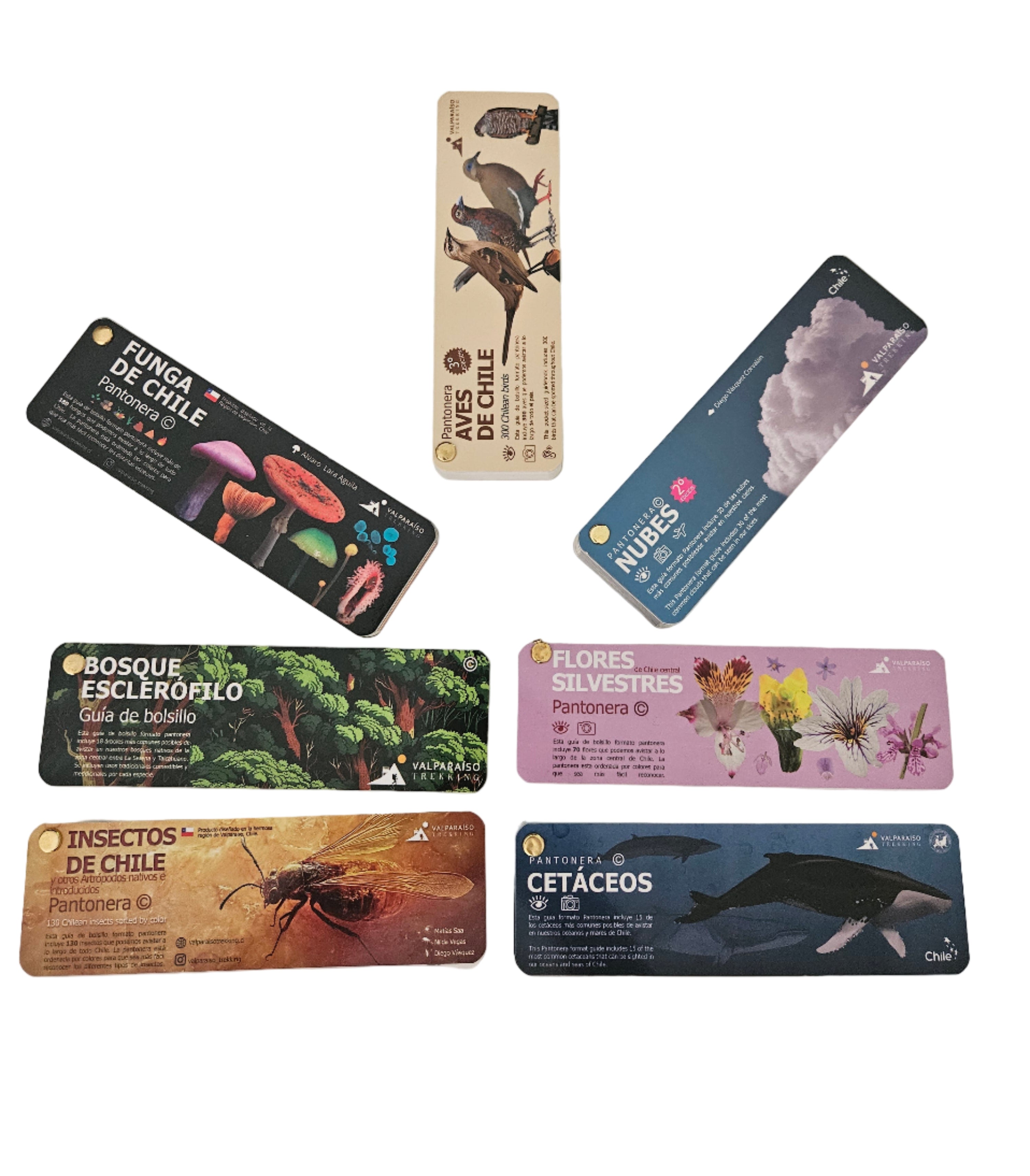 Pack Pantoneras (aves, nubes, bosque, flores, insectos, funga y cetáceos)