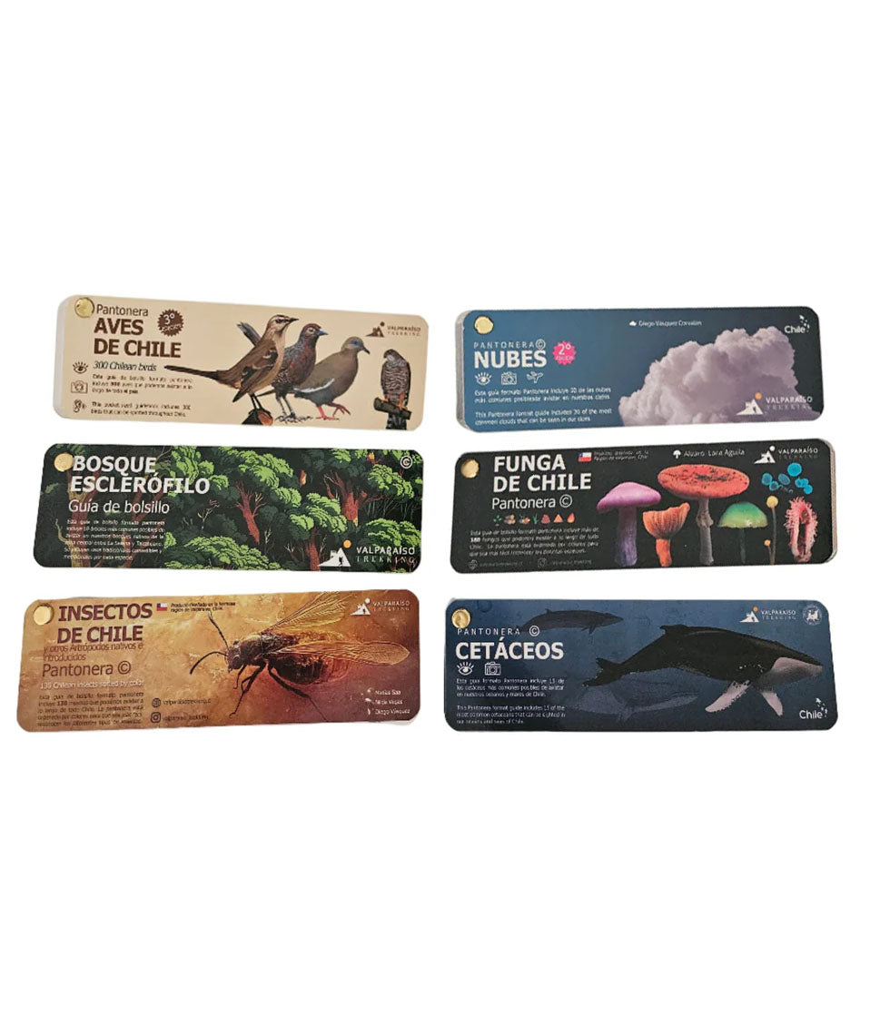 Pack Pantoneras (aves, nubes, bosque,  insectos, funga y cetáceos)