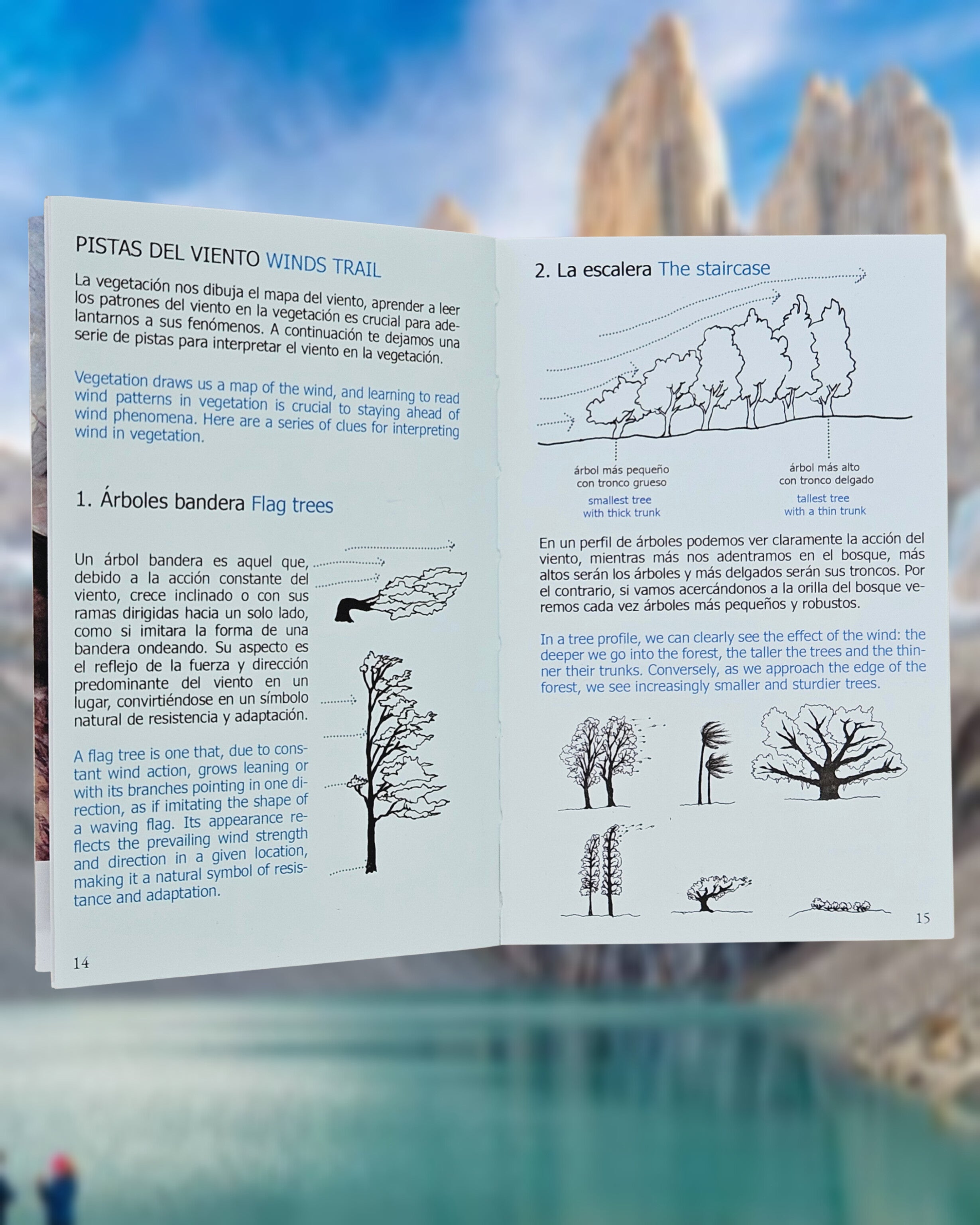 Guía de Campo: Clima del Parque Nacional Torres Del Paine
