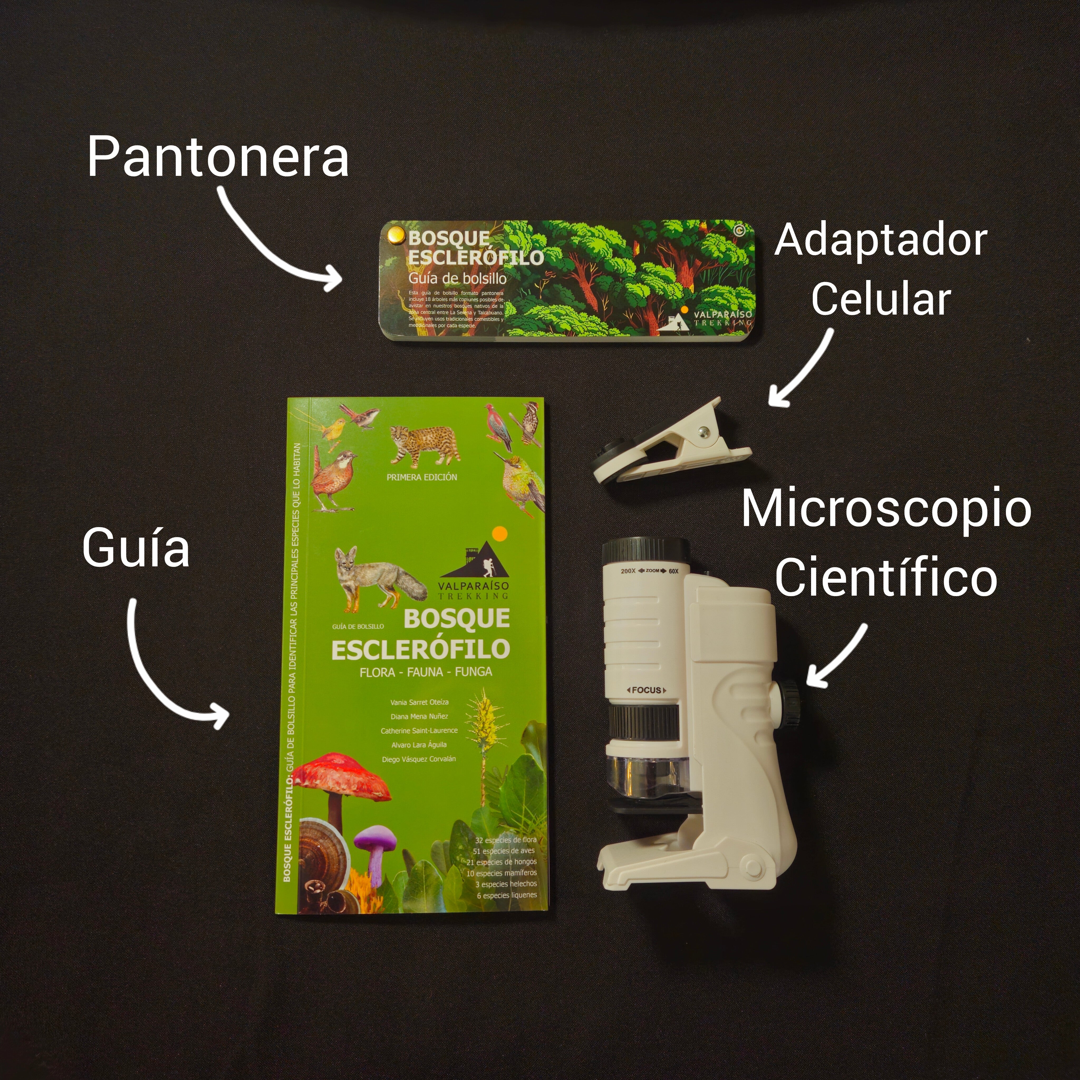 Kit de Exploración "Bosque Esclerófilo" – Ciencia y Naturaleza en tus Manos 🔬