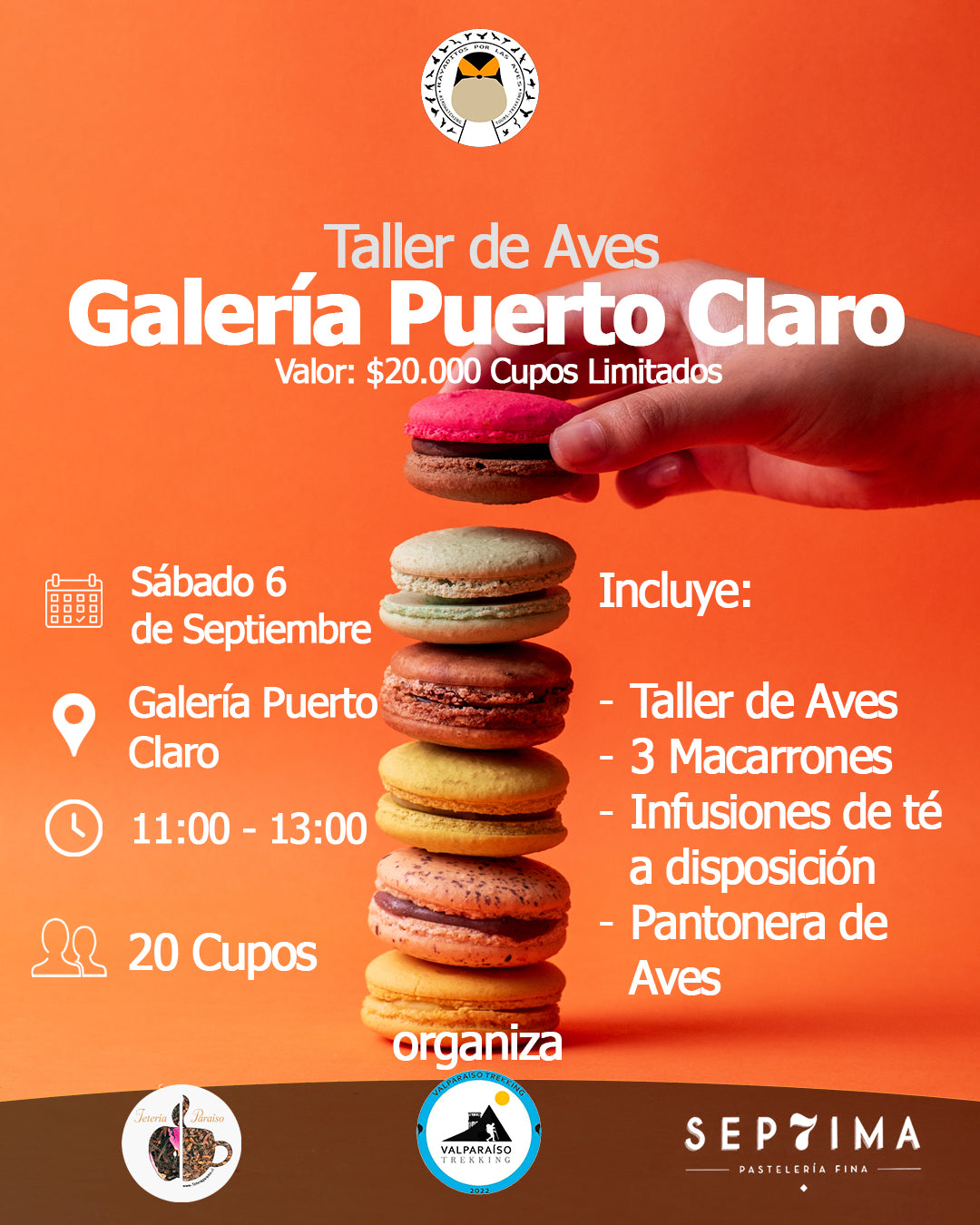 Taller de Aves Galería Puerto Claro