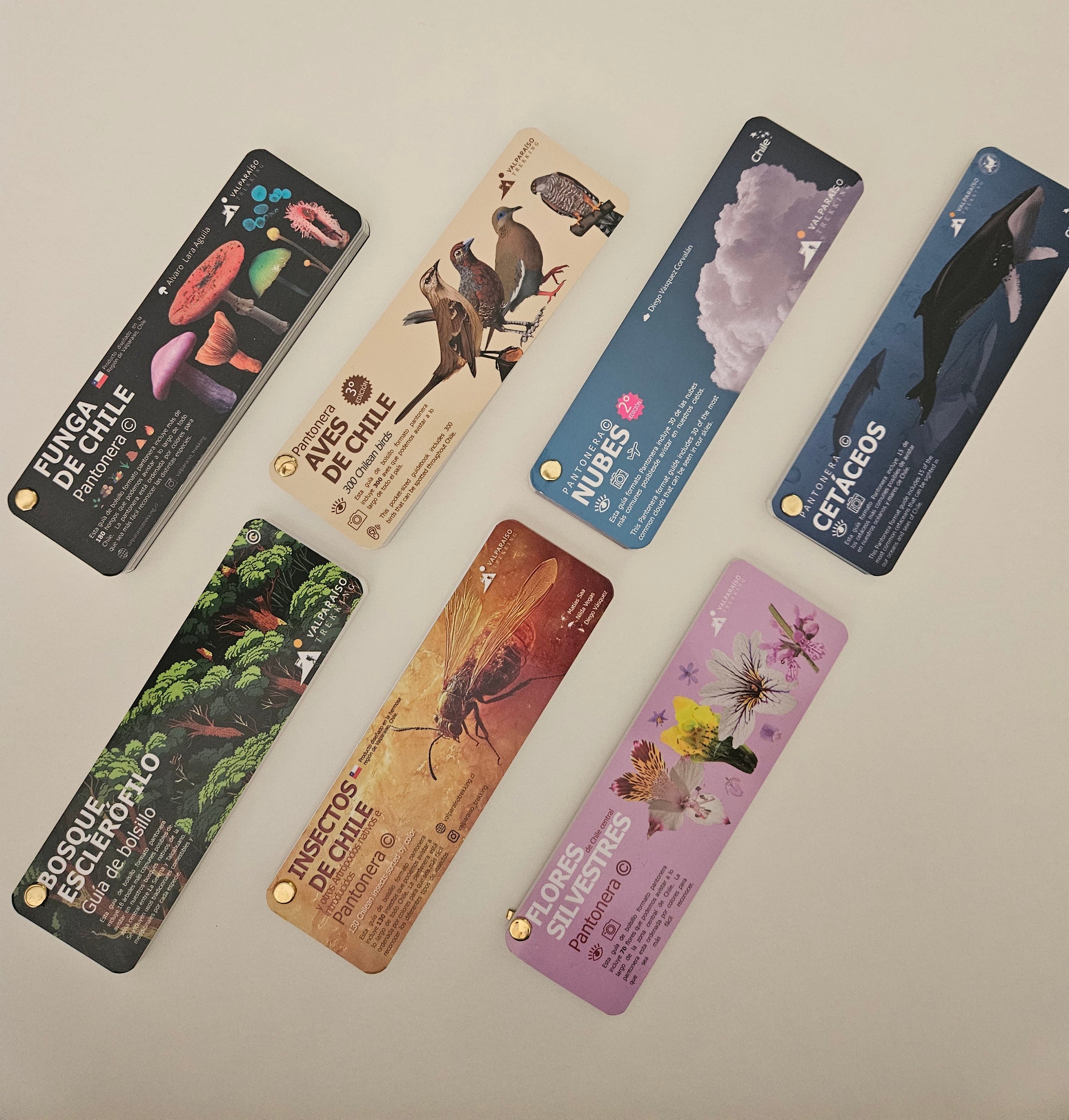 Pack Pantoneras (aves, nubes, bosque, flores, insectos, funga y cetáceos)