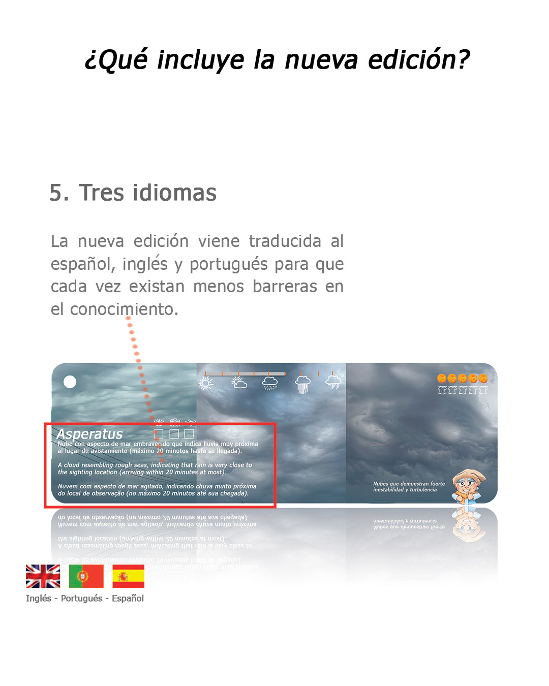 Pantonera Nubes 3° Edición