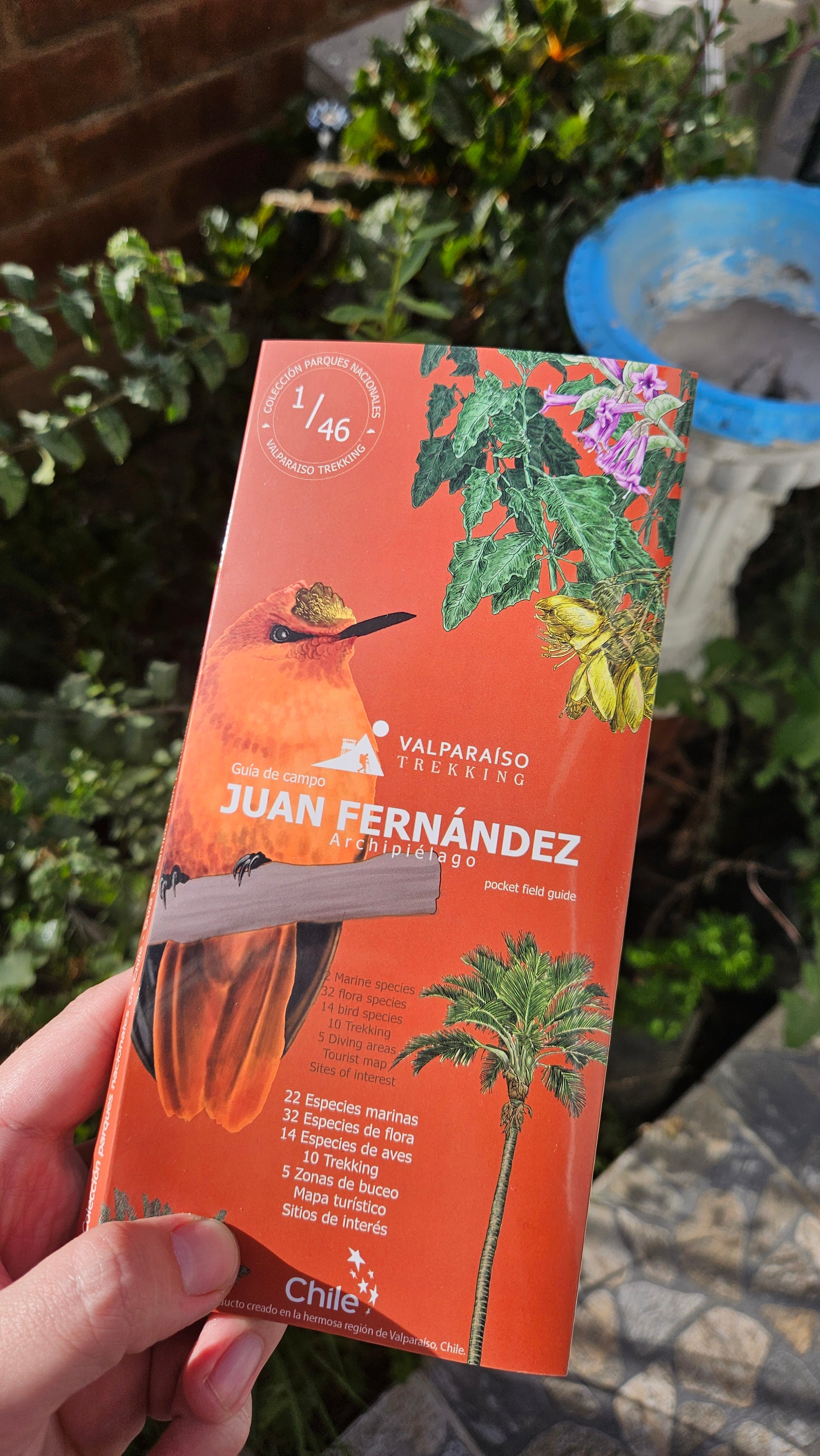 Guía Archipiélago Juan Fernández
