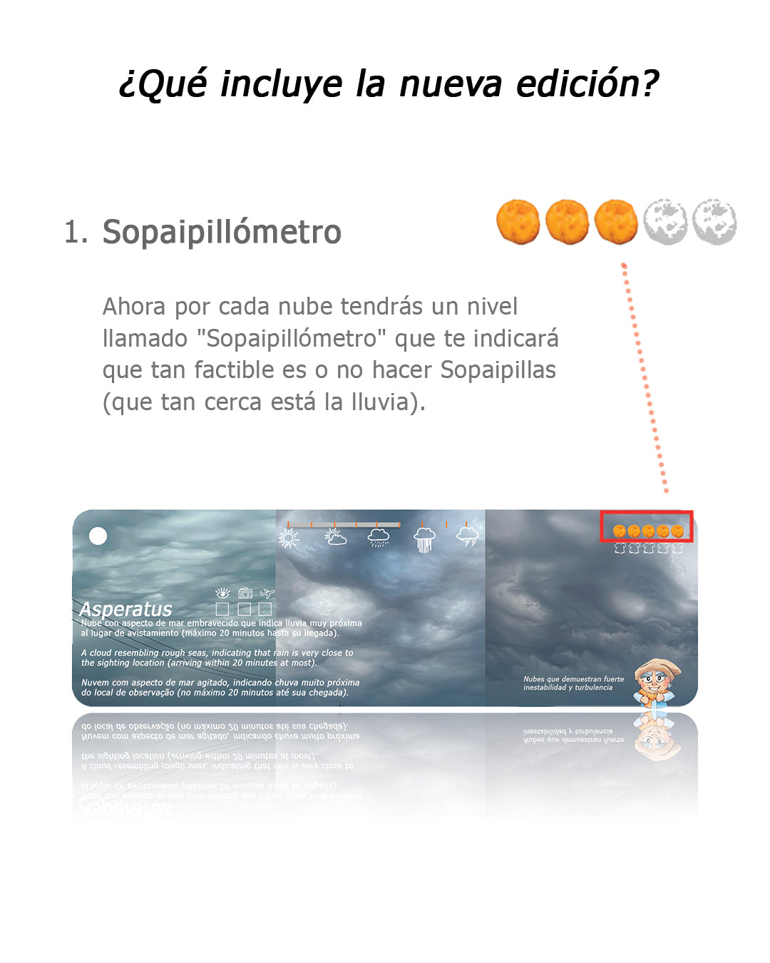 Pantonera Nubes 3° Edición